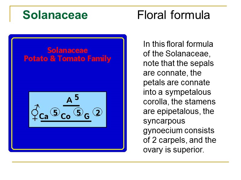 Solanaceae Floral formula  In this floral formula of the Solanaceae, note that the